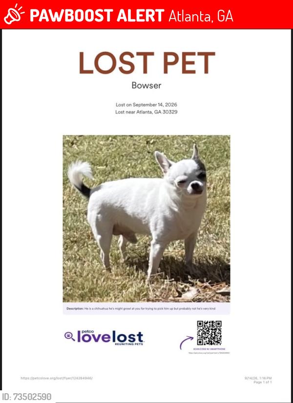 Lost Male Dog last seen Near Buford Hwy Ne,Atlanta Ga 30329, Atlanta, GA 30329