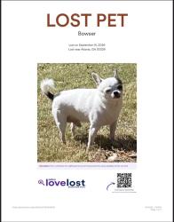 Lost Male Dog last seen Near Buford Hwy Ne,Atlanta Ga 30329, Atlanta, GA 30329