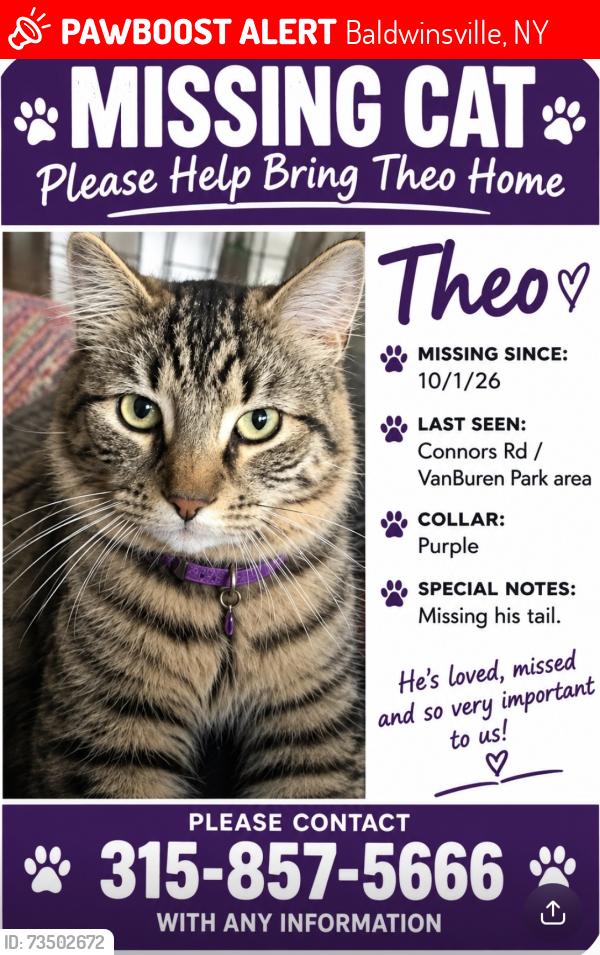 Lost Male Cat last seen VanBuren Pary, Baldwinsville, NY 13027