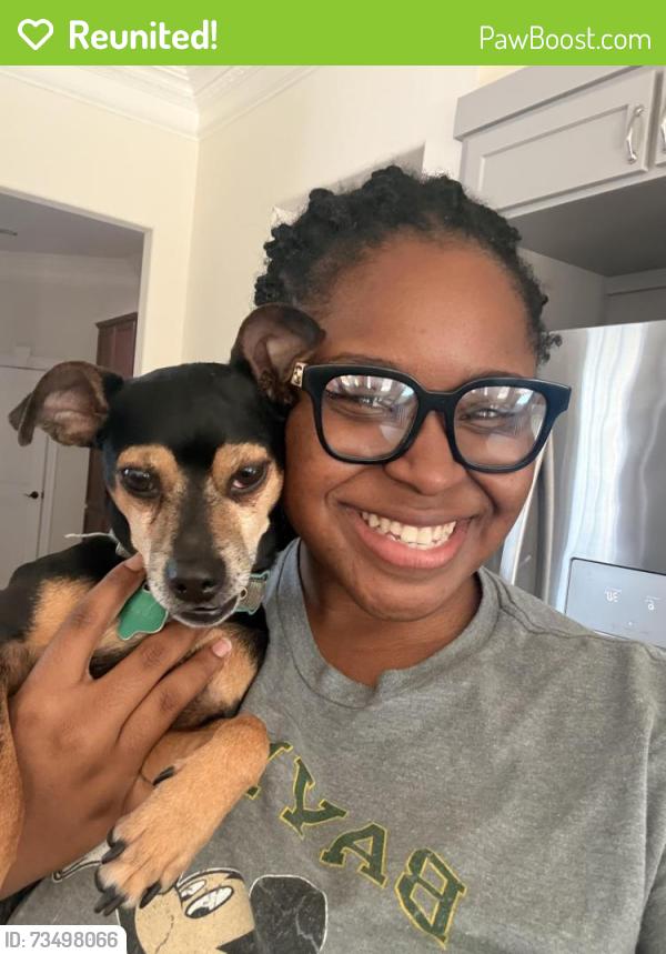 Reunited Male Dog last seen In the frost farms 2 neighborhood, DeSoto, TX 75115