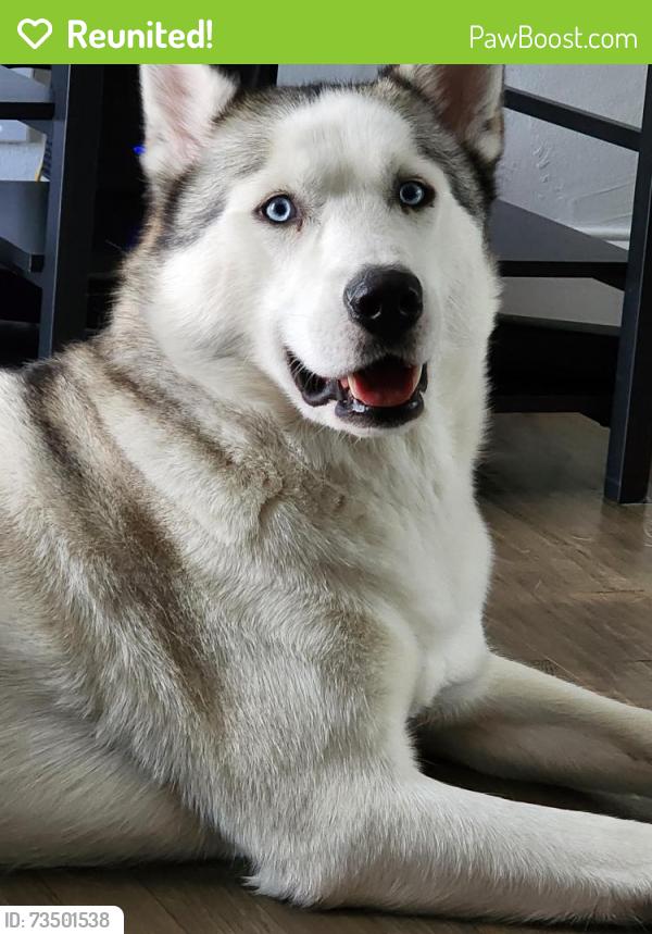 Reunited Male Dog last seen Park row, Pantego, TX 76013