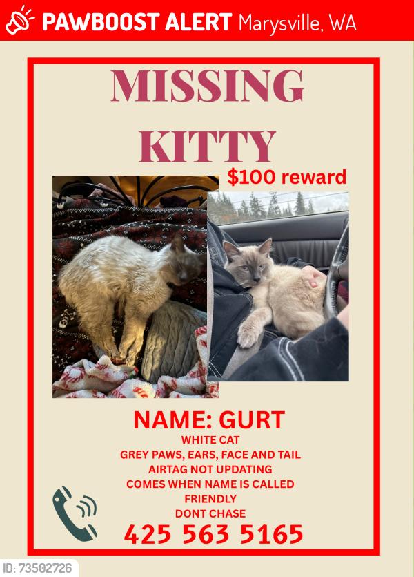 Lost Male Cat last seen Near trampoline park and Hickok park, Marysville, WA 98270