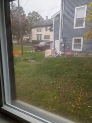 Found/Stray Unknown Cat last seen between my hse in neighbors, Maynard, MA 01754