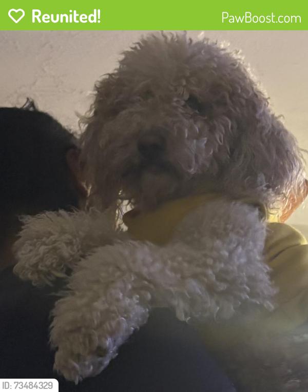 Reunited Male Dog last seen Near s Alane st, West Valley City, UT 84120