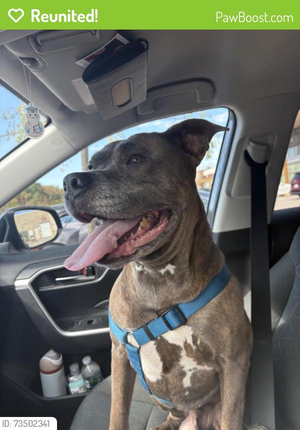 Reunited Male Dog last seen Near N Lyndhurst Crossing, McCordsville, IN 46055, USA, McCordsville, IN 46055