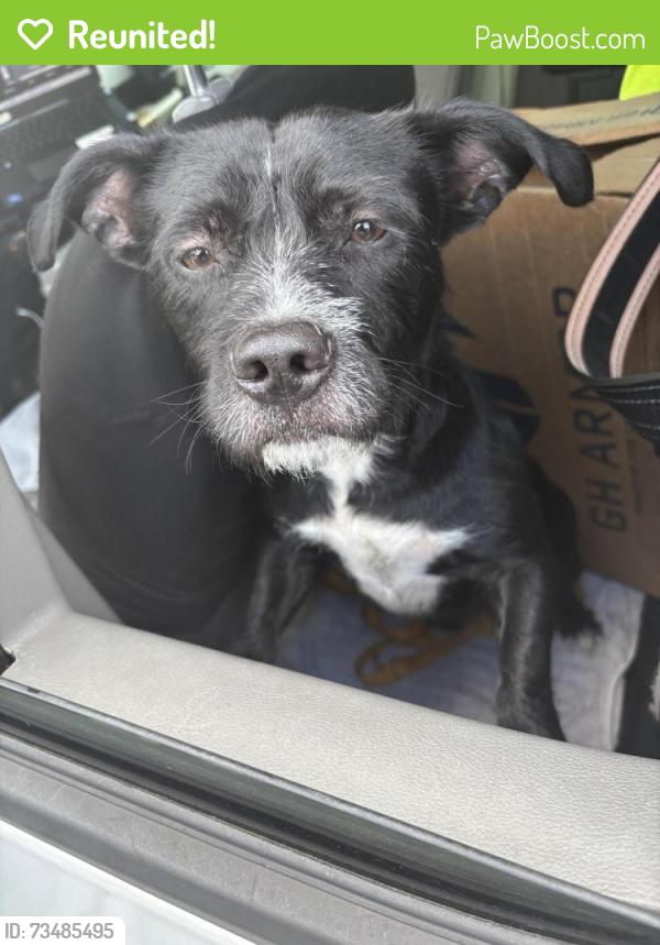 Reunited Unknown Dog last seen Port St Lucie, Port St. Lucie, FL 34986