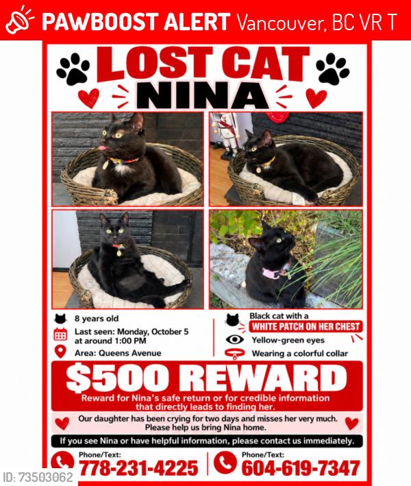 Lost Female Cat last seen Queens Ave, Vancouver, BC V5R 4T9