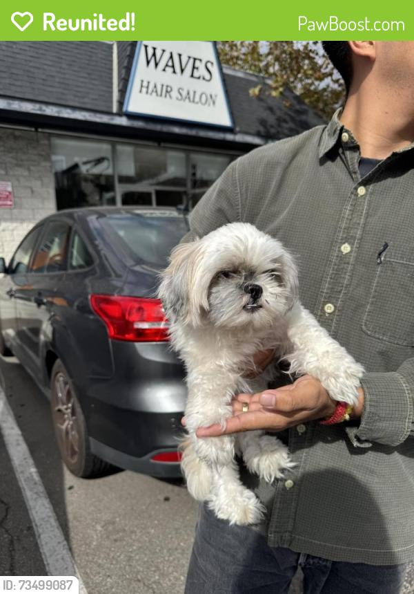 Reunited Unknown Dog last seen Washington Blvd/Inglewood Blvd. Crossroads Corner, Culver City, CA 90066