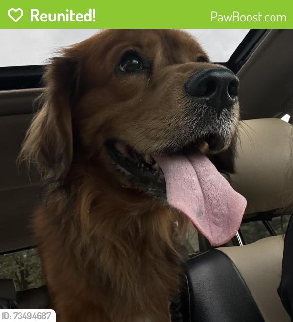 Reunited Male Dog last seen Whitewater high school, Fayetteville, GA 30215