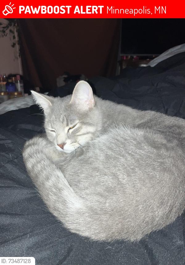 Lost Male Cat last seen Near Elliot ave S, Minneapolis, MN 55407