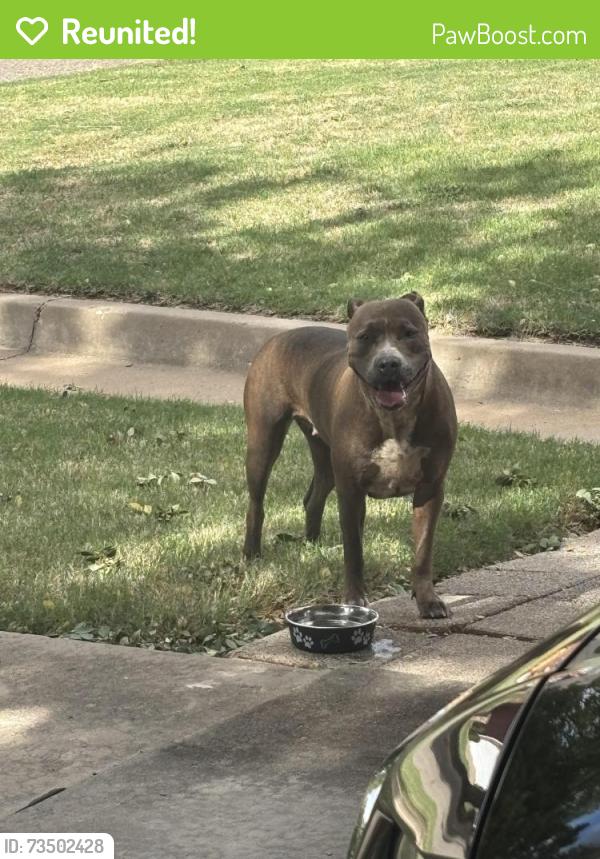 Reunited Female Dog last seen 172nd & Valley crest in The Valley, Edmond, OK 73012