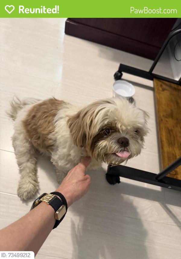 Reunited Female Dog last seen Us 1, Vero Beach, FL 32960
