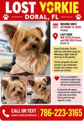 Reunited Male Dog last seen Near and 50 st, Doral, FL 33178