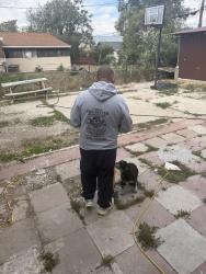 Lost Male Dog last seen Near w 5655 s, Kearns, UT 84118
