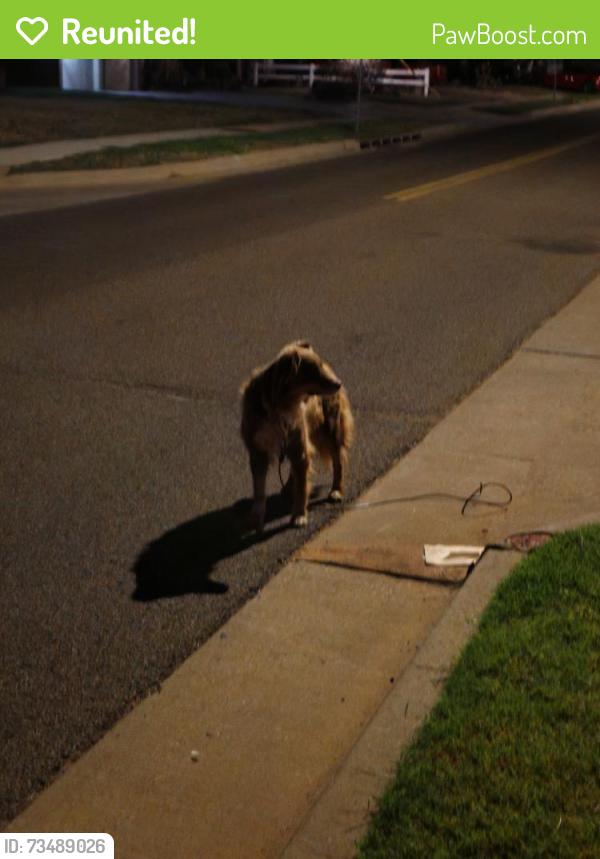 Reunited Unknown Dog last seen NW 46th Terrace & N Ann Arbor Ave, Warr Acres, OK 73122, USA, Warr Acres, OK 73122
