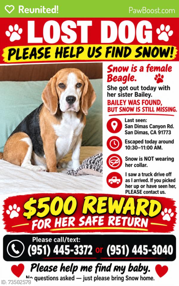 Reunited Female Dog last seen San Dimas Canyon Rd near Golf course crossing, San Dimas, CA 91773