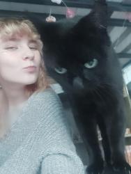 Reunited Female Cat last seen Crescent road, Surrey, BC V4P 2B2
