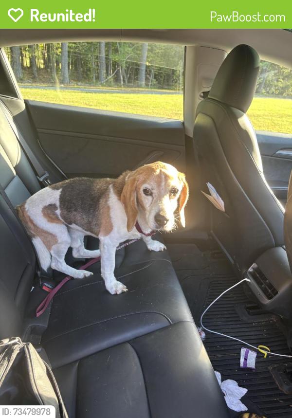 Reunited Male Dog last seen Short street, Chapel Hill, NC 27517