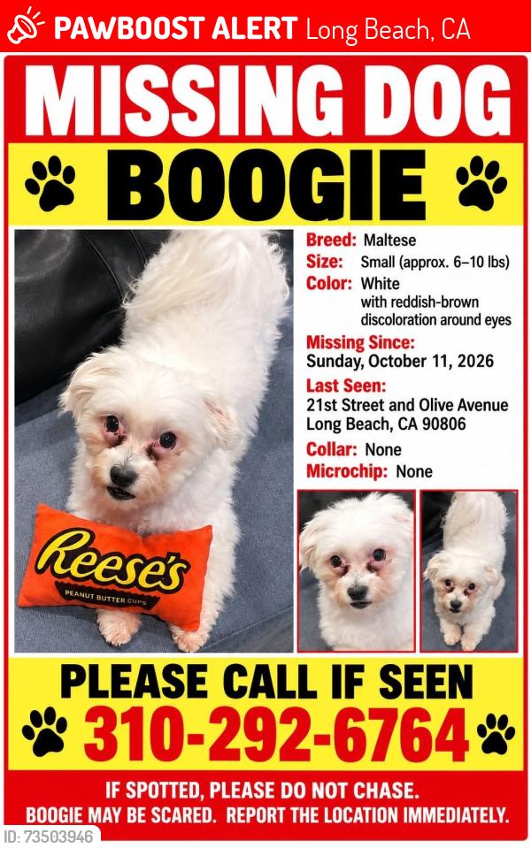 Lost Male Dog last seen Atlantic, Long Beach, CA 90806