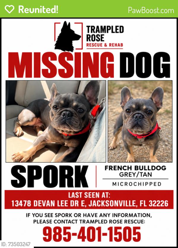 Reunited Male Dog last seen Near Devan Lee Dr.E,, Jacksonville, FL 32226