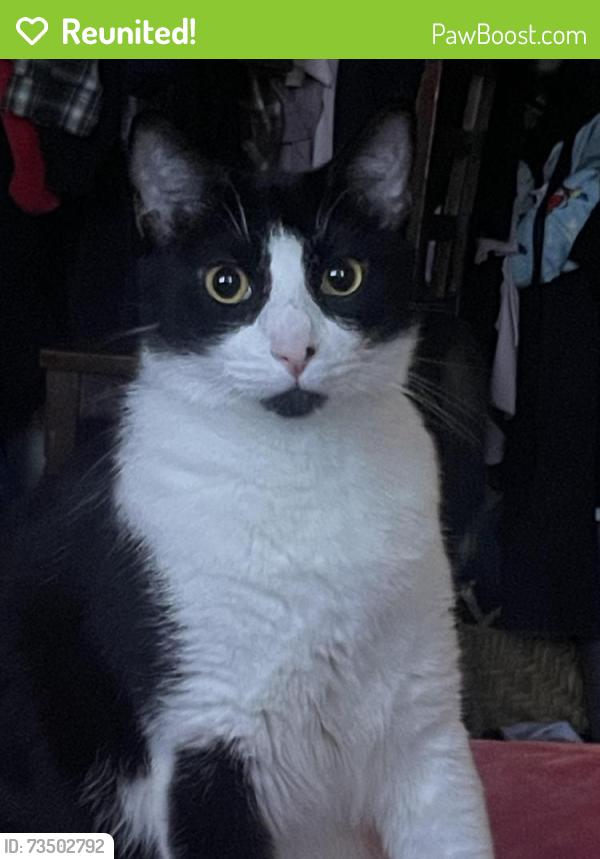 Reunited Male Cat last seen Near Lower Azusa, El Monte, CA 91731