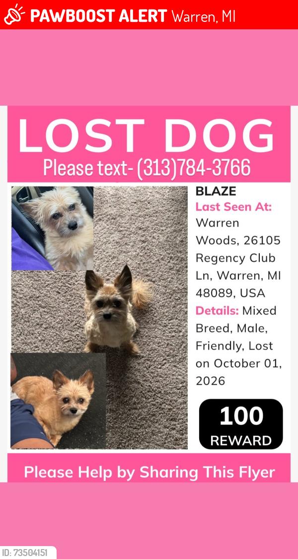 Lost Male Dog last seen Regency club, Warren, MI 48093