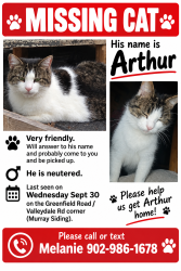 Lost Male Cat last seen Greenfield rd and valleydale rd, Murray Siding, NS B6L 3M5