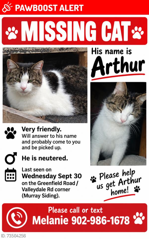 Lost Male Cat last seen Greenfield rd and valleydale rd, Murray Siding, NS B6L 3M5