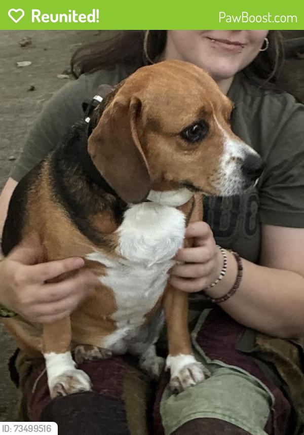 Reunited Female Dog last seen Near Leisure Ln, Winston-Salem, NC 27103, USA, Winston-Salem, NC 27103