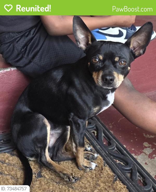 Reunited Male Dog last seen The zoo and the science museum, Oklahoma City, OK 73111