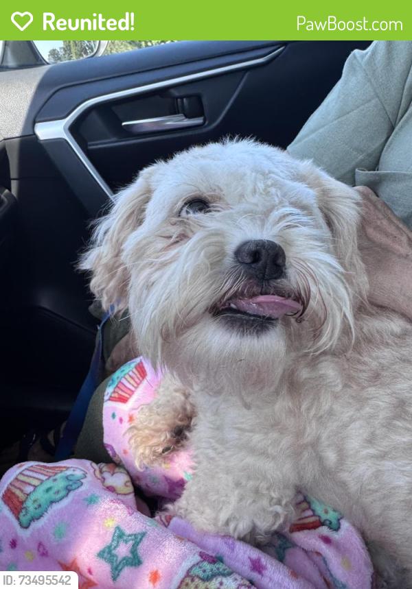 Reunited Male Dog last seen Behind the sugar creek health center in the neighborhood, Charlotte, NC 28206