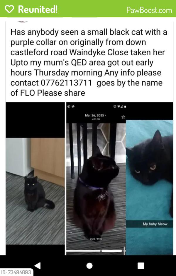 Reunited Female Cat last seen Community center, West Yorkshire, England WF6 1LP