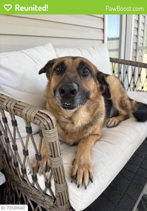 Reunited Male Dog last seen Walkertown, NC, Walkertown, NC 27051