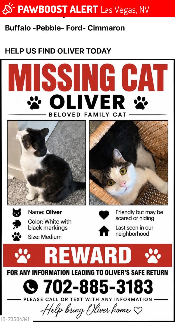 Lost Female Cat last seen Ford Buffalo, Las Vegas, NV 89113