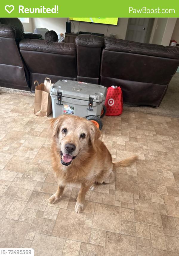 Reunited Male Dog last seen Tamarisk park in the flooded park, San Jacinto, CA 92582