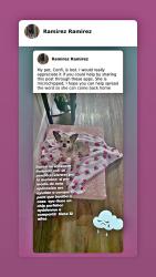 Lost Female Dog last seen Dallas t, Dallas, TX 75218