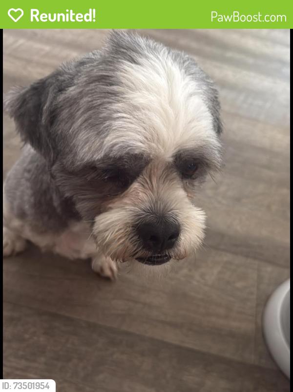 Reunited Male Dog last seen Washington street, Dumfries, VA 22026