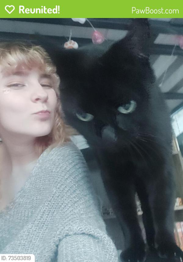 Reunited Female Cat last seen Crescent road, Surrey, BC V4P 2B2