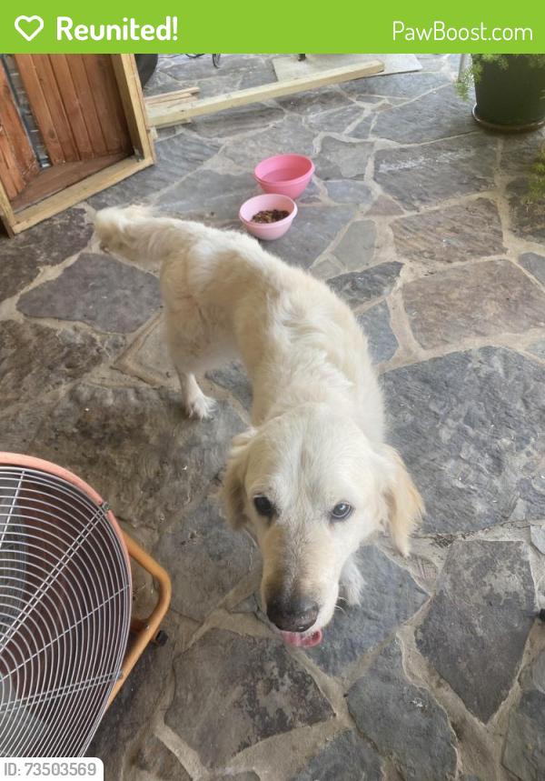 Reunited Male Dog last seen 91st aspen, Broken Arrow, OK 74012