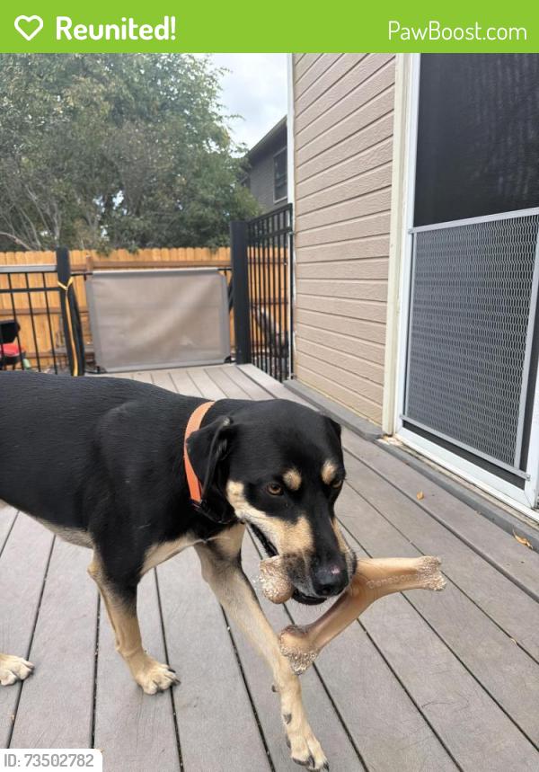 Reunited Male Dog last seen Sioux blvd and Sweeney st, Fort Collins, CO 80526