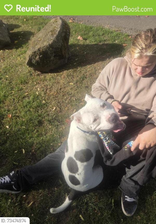 Reunited Male Dog last seen Church, Bremerton, WA 98310