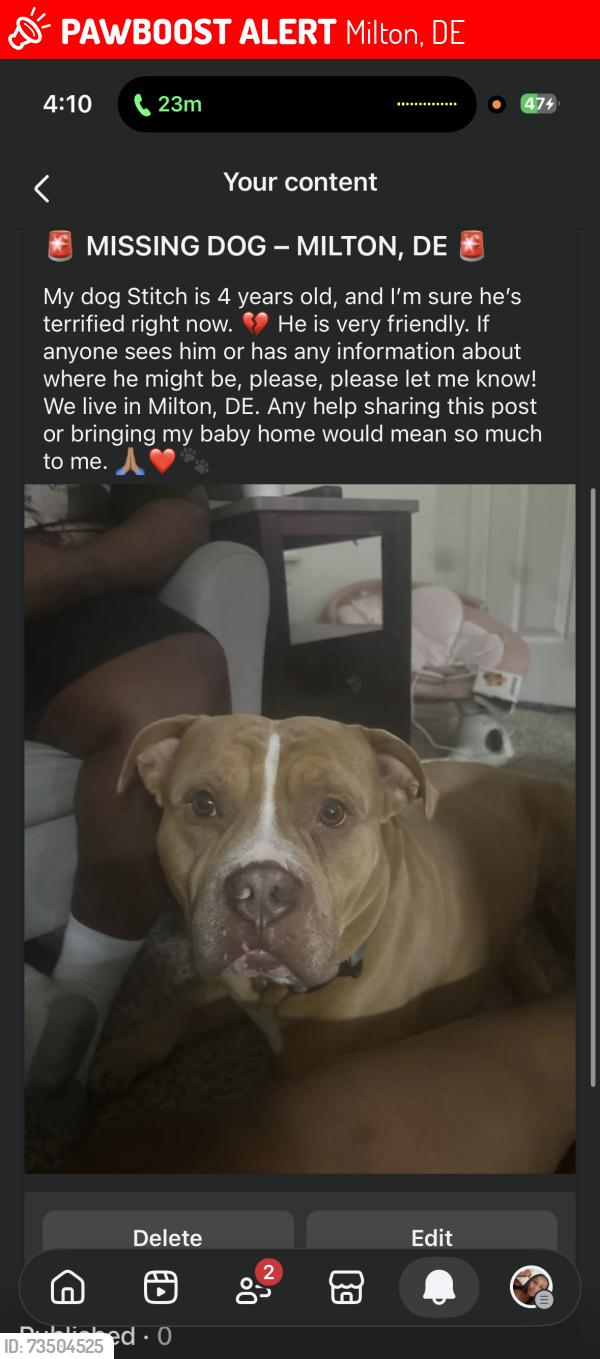Lost Male Dog last seen Cedar Creek Rd, Near a pond in Milton, Milton, DE 19968