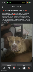 Lost Male Dog last seen Cedar Creek Rd, Near a pond in Milton, Milton, DE 19968