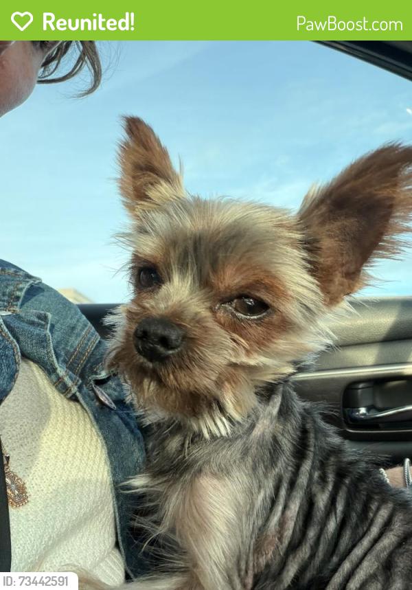 Reunited Male Dog last seen Diamond Park (Parkside Neighborhood, Vancouver, WA), Vancouver, WA 98682
