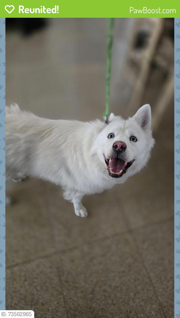 Reunited Male Dog last seen Canyon Meadow Rd, Victorville, CA 92395