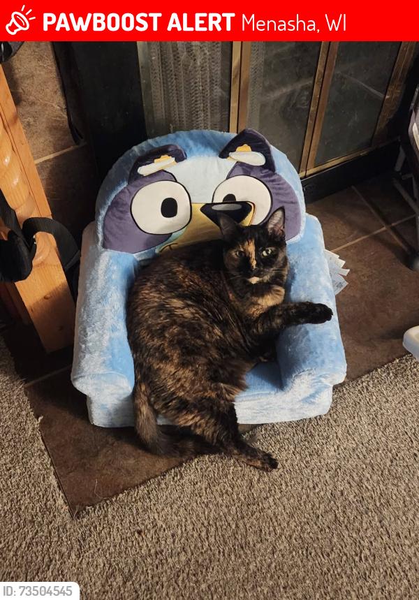 Lost Female Cat last seen 6th, Menasha, WI 54952