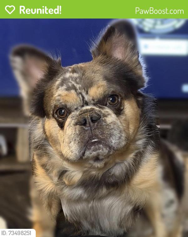 Reunited Male Dog last seen Carthage St and 62nd, Fort Smith, AR 72903