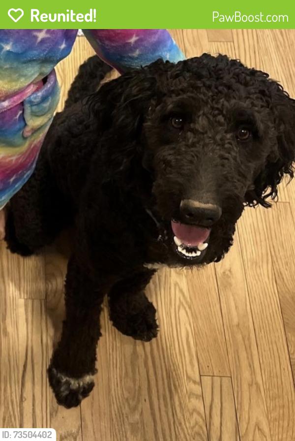 Reunited Male Dog last seen Ran out of the gate at our hse on Price Rd, Hendersonville, NC 28739