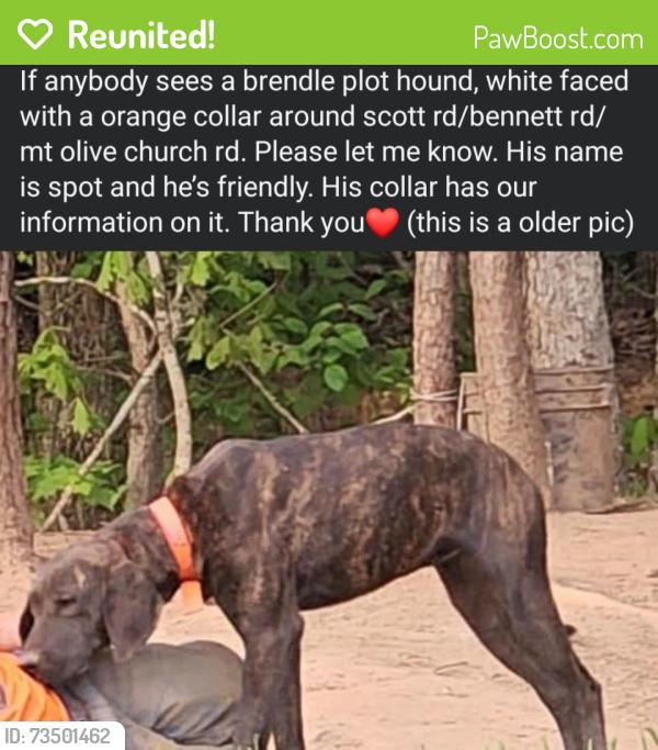 Reunited Male Dog last seen Bennett rd, Burke County, NC 28655