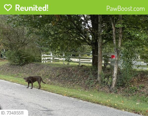 Reunited Unknown Dog last seen Massey Chapel Rd between Herndon and Southpoint village apmts, across from blueberry place, Durham, NC 27713